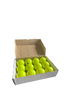 GRYPHON Box of Indoor Smooth ball